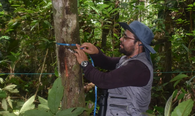 Forest inventory field measurement activity